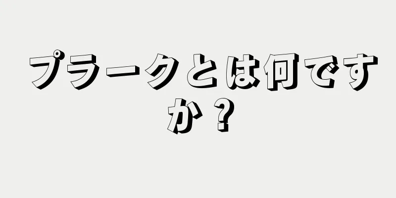 プラークとは何ですか？