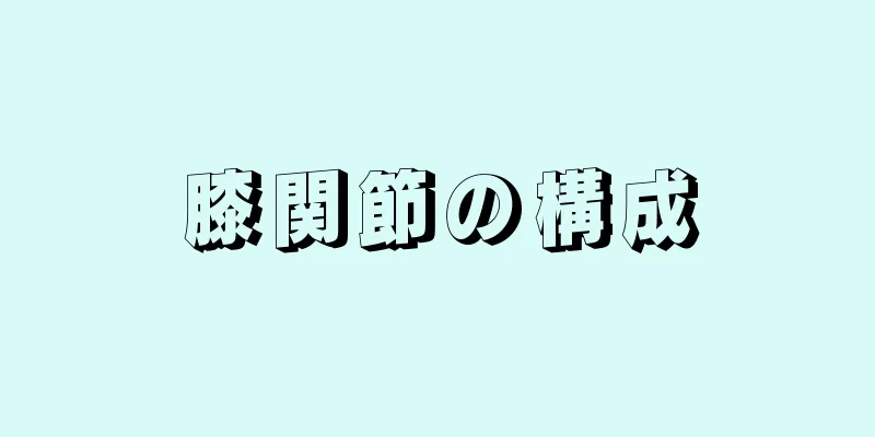 膝関節の構成