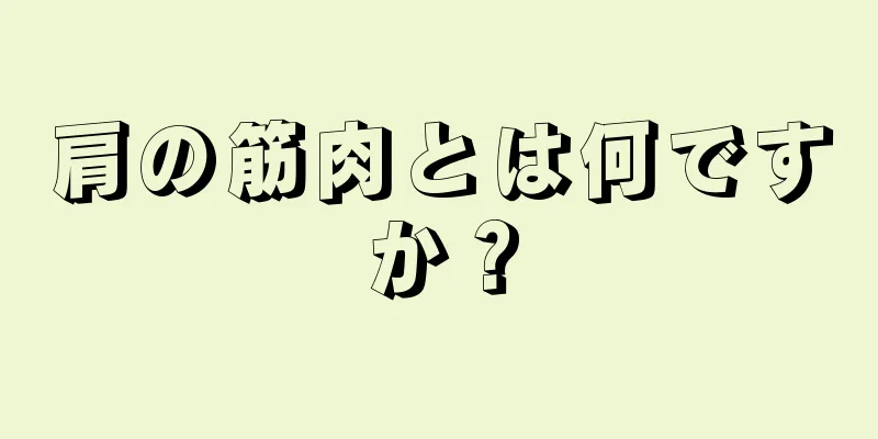 肩の筋肉とは何ですか？