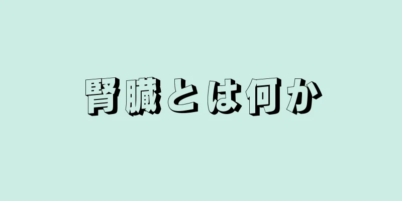 腎臓とは何か