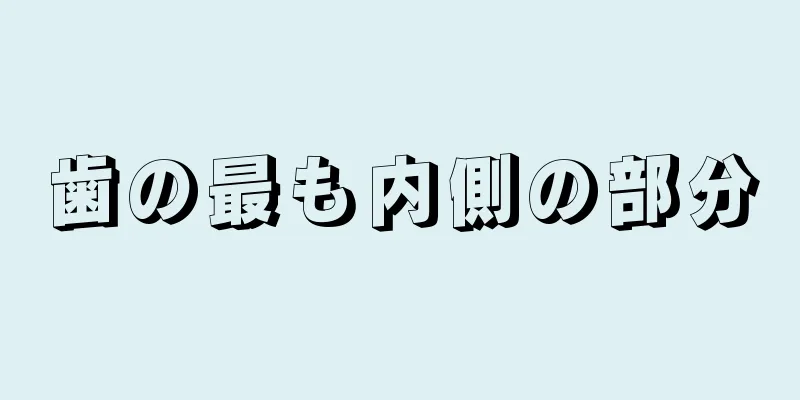 歯の最も内側の部分