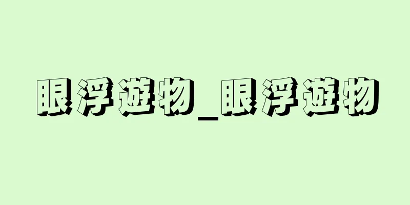 眼浮遊物_眼浮遊物