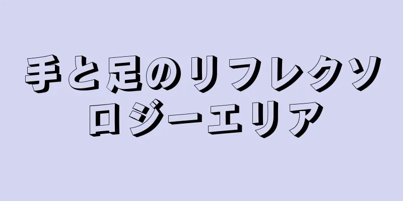 手と足のリフレクソロジーエリア