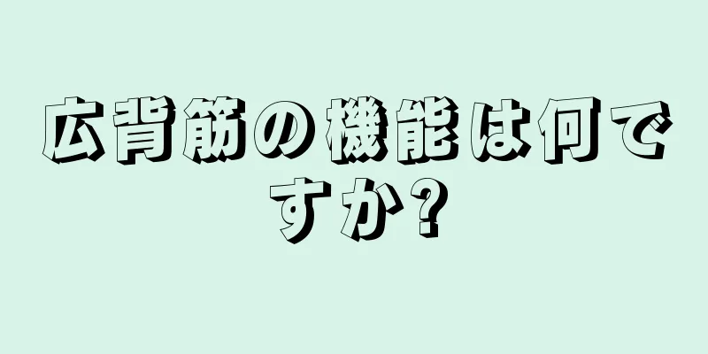 広背筋の機能は何ですか?