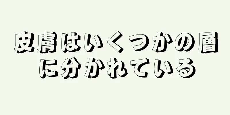 皮膚はいくつかの層に分かれている