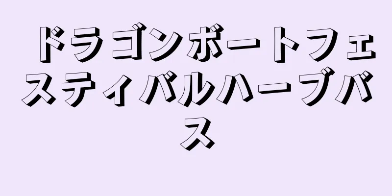 ドラゴンボートフェスティバルハーブバス