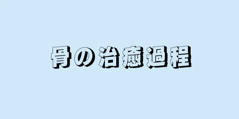 骨の治癒過程