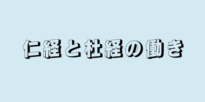 仁経と杜経の働き