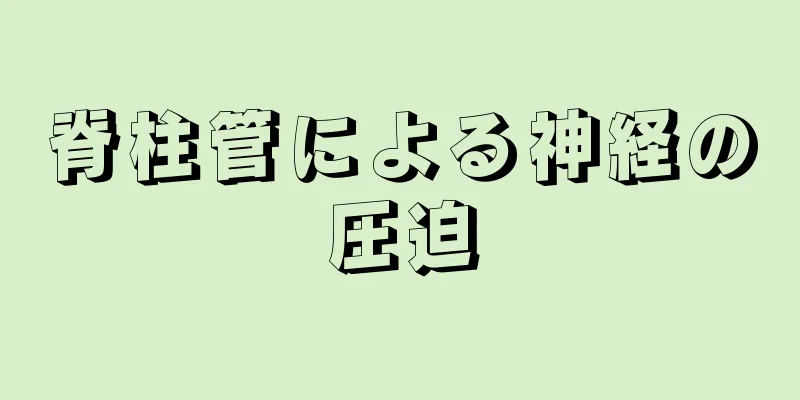 脊柱管による神経の圧迫