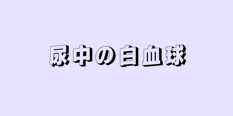 尿中の白血球