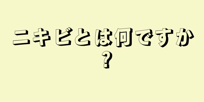 ニキビとは何ですか？