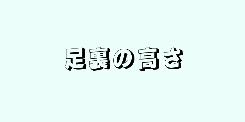 足裏の高さ