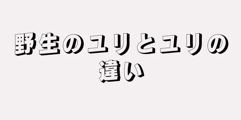 野生のユリとユリの違い