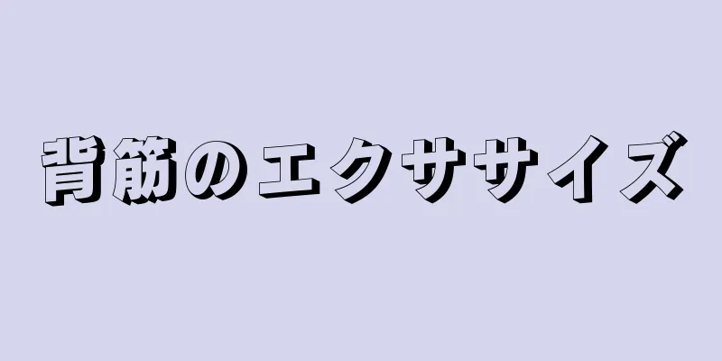 背筋のエクササイズ