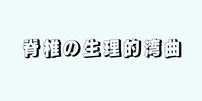 脊椎の生理的湾曲