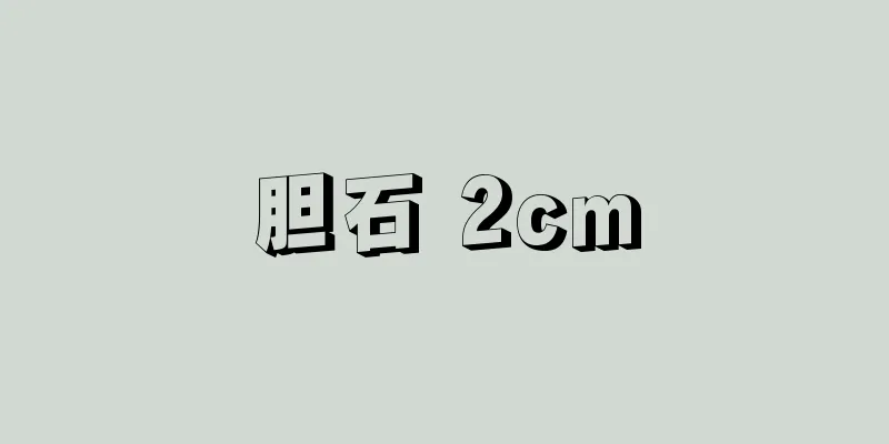 胆石 2cm