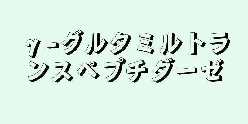 γ-グルタミルトランスペプチダーゼ