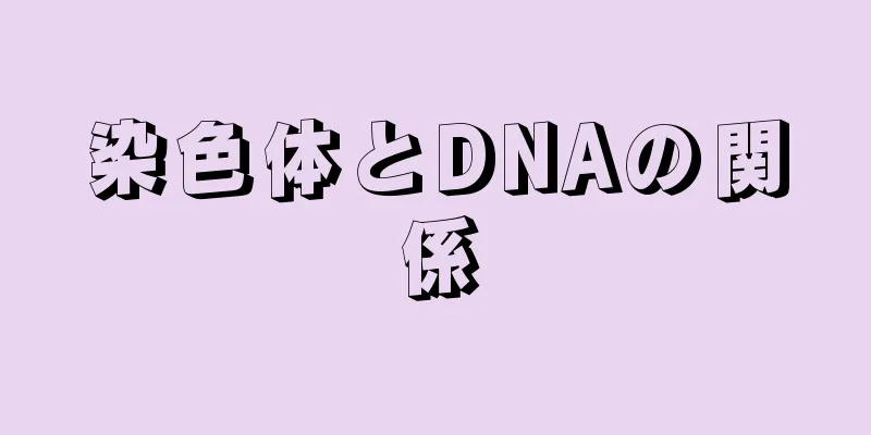 染色体とDNAの関係