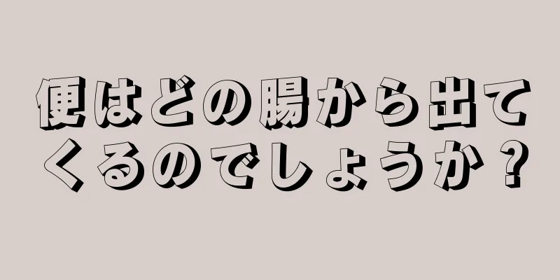 便はどの腸から出てくるのでしょうか？