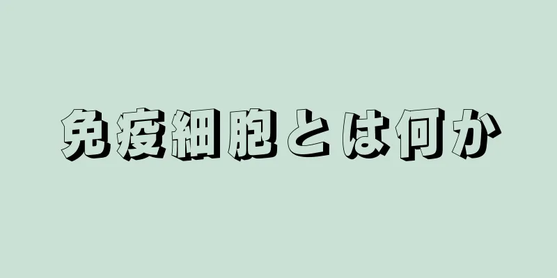 免疫細胞とは何か