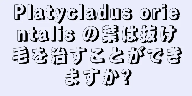 Platycladus orientalis の葉は抜け毛を治すことができますか?