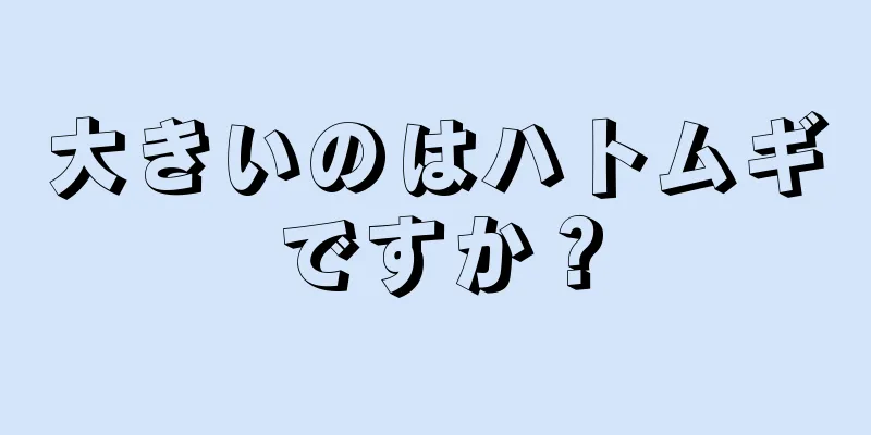 大きいのはハトムギですか？