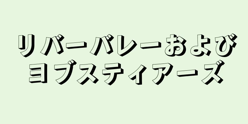 リバーバレーおよびヨブスティアーズ