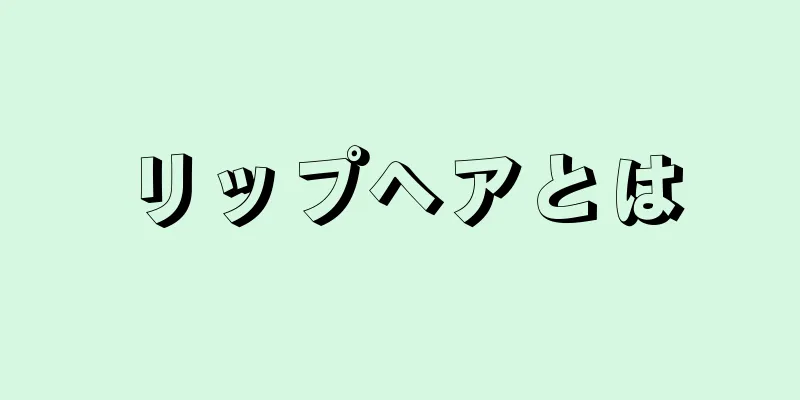 リップヘアとは