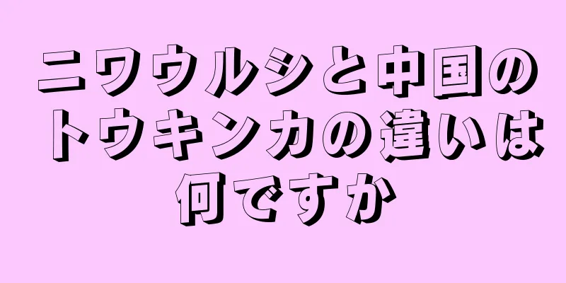 ニワウルシと中国のトウキンカの違いは何ですか