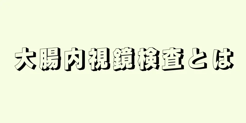 大腸内視鏡検査とは