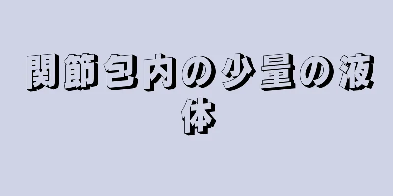 関節包内の少量の液体