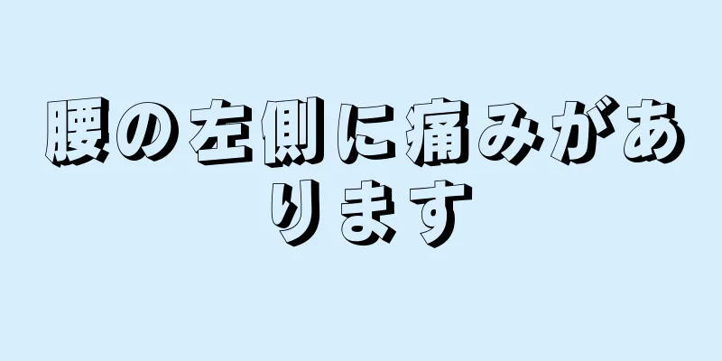 腰の左側に痛みがあります