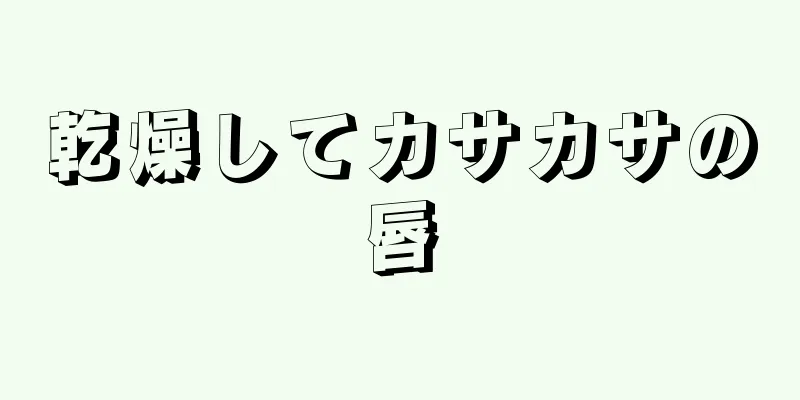 乾燥してカサカサの唇