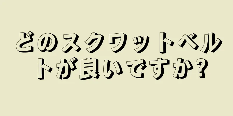 どのスクワットベルトが良いですか?