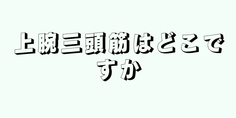 上腕三頭筋はどこですか