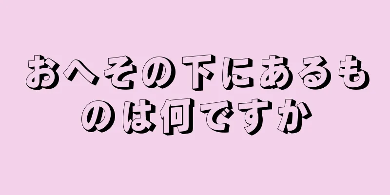 おへその下にあるものは何ですか