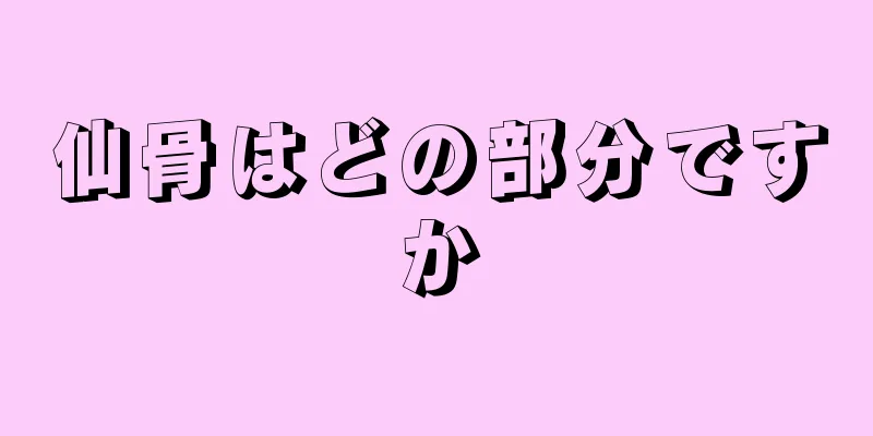 仙骨はどの部分ですか