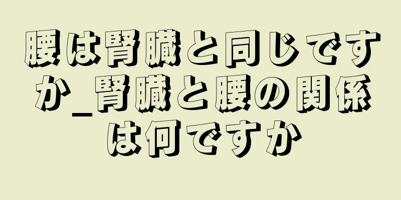 腰は腎臓と同じですか_腎臓と腰の関係は何ですか