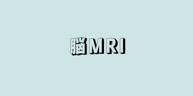 脳MRI