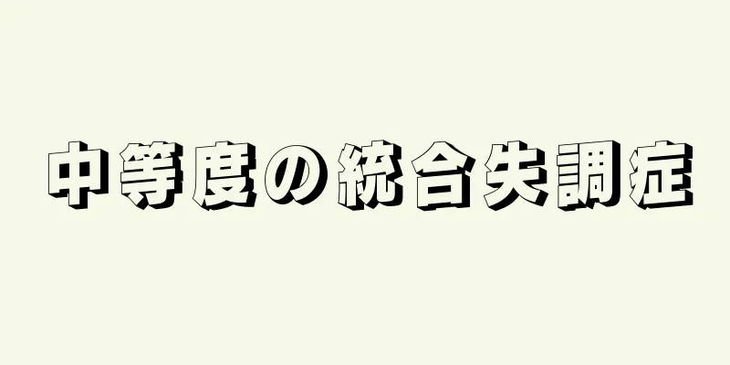 中等度の統合失調症