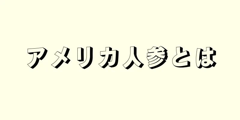 アメリカ人参とは