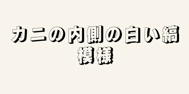 カニの内側の白い縞模様