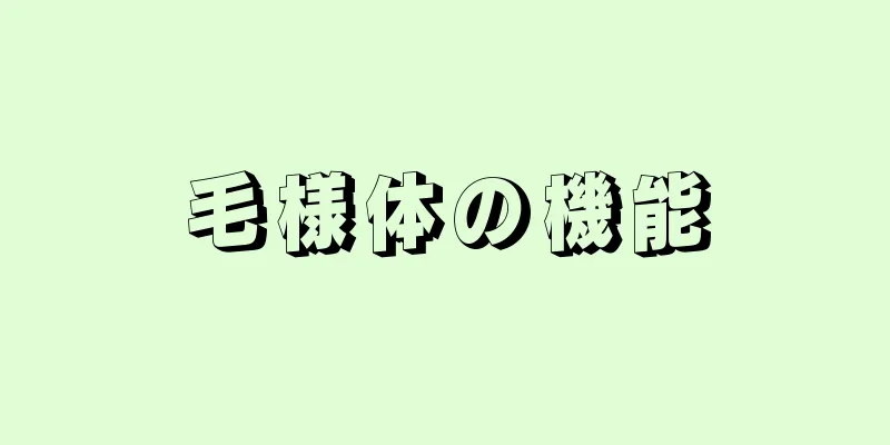 毛様体の機能