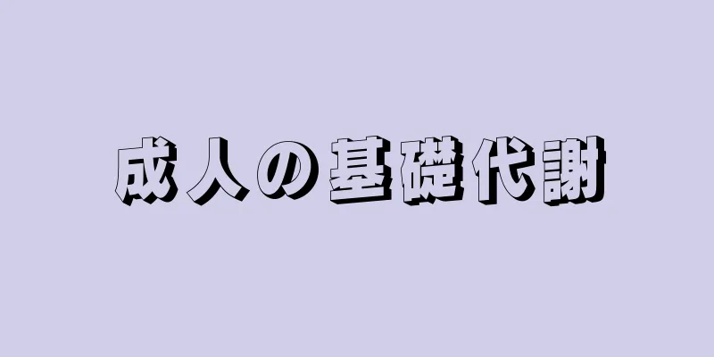 成人の基礎代謝