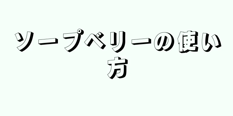 ソープベリーの使い方