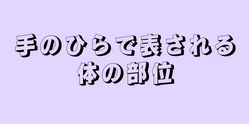 手のひらで表される体の部位