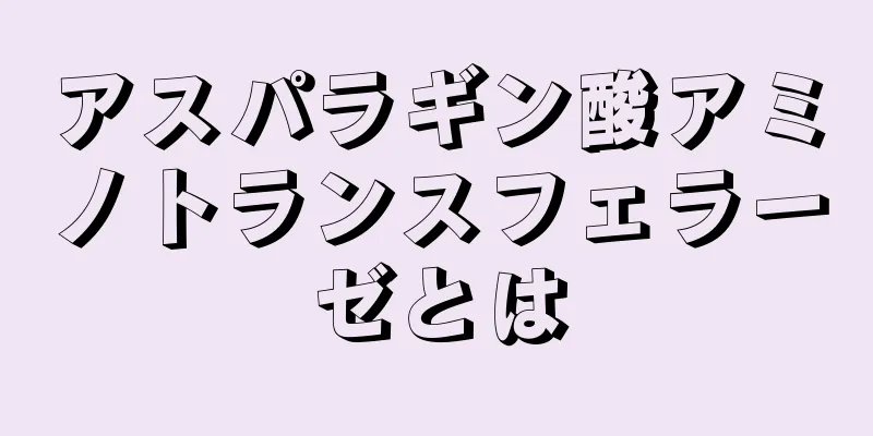 アスパラギン酸アミノトランスフェラーゼとは