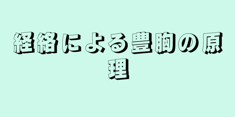 経絡による豊胸の原理