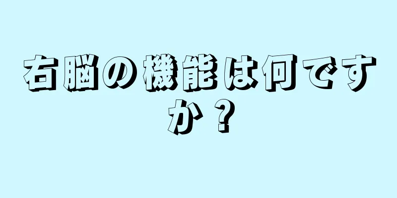 右脳の機能は何ですか？