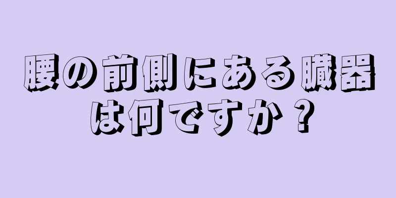 腰の前側にある臓器は何ですか？